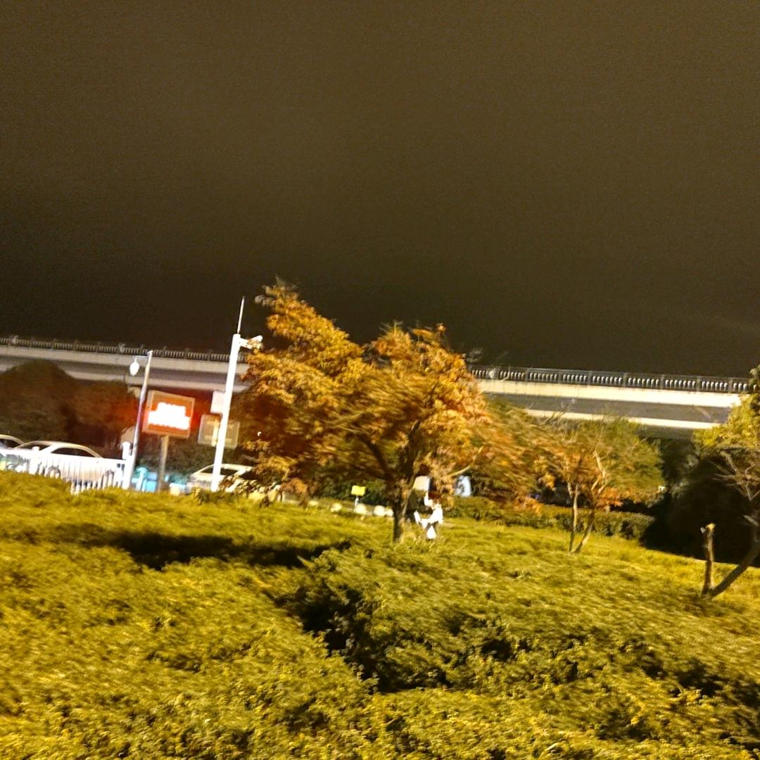 用户8667576631620不忘初心