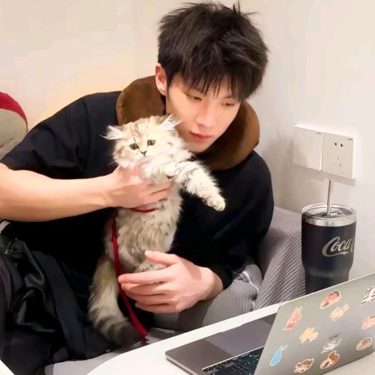懒猫🐱