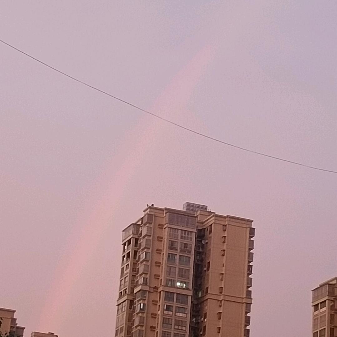 袁大姐