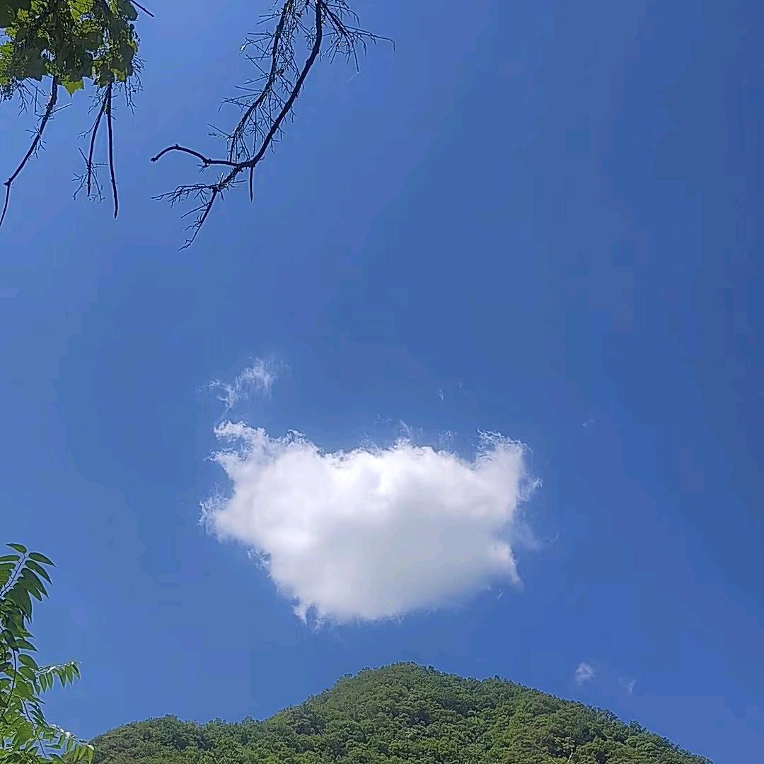 太阳晒不热🌞