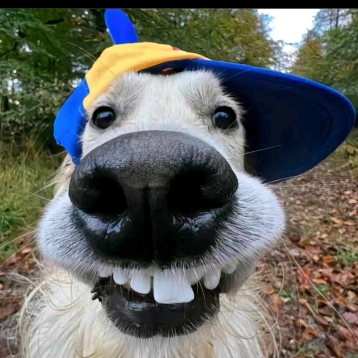 _17