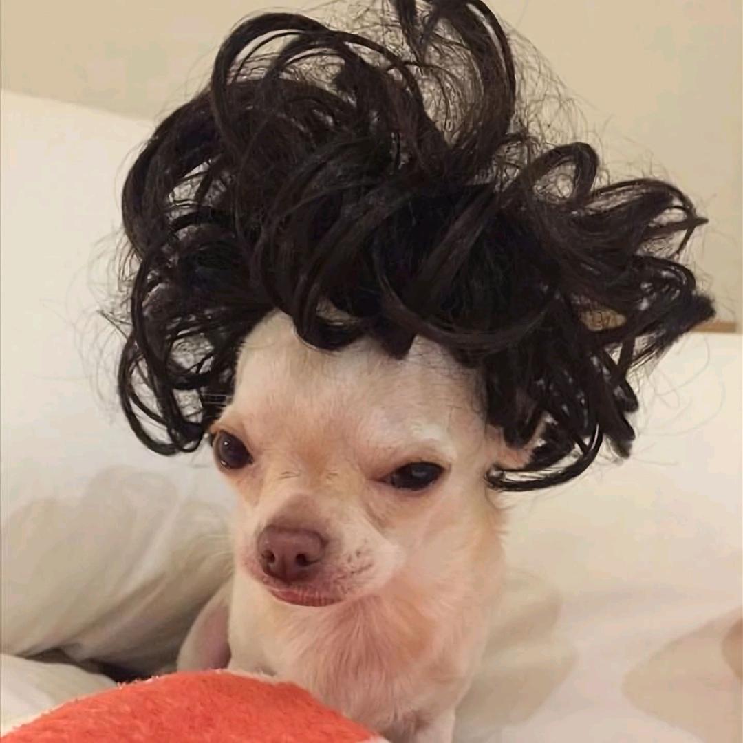 AAA建材批发强哥