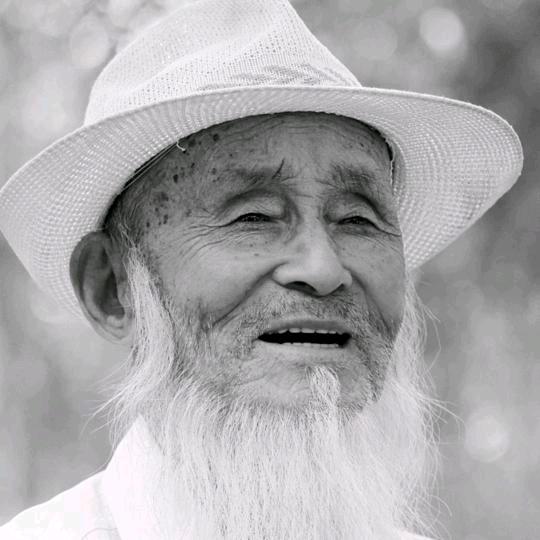 从此沉默