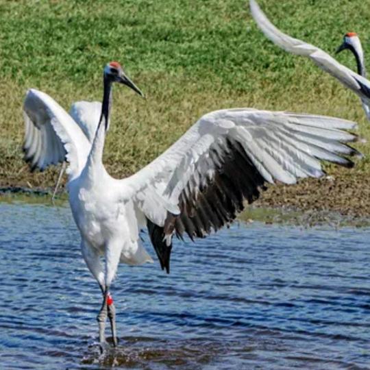 李忠🎤（下午4：10开播）