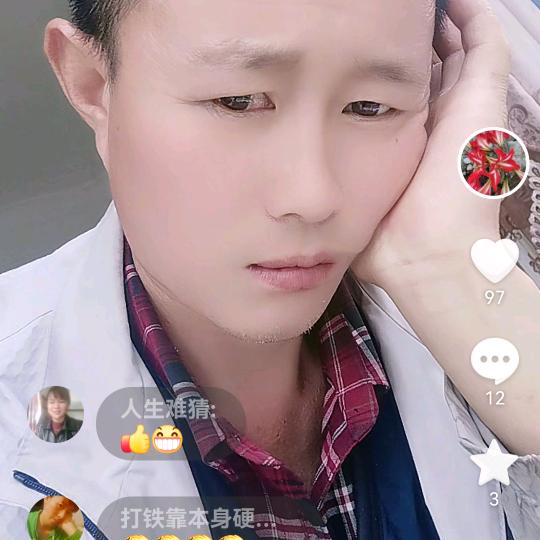 一生无悔（黄）