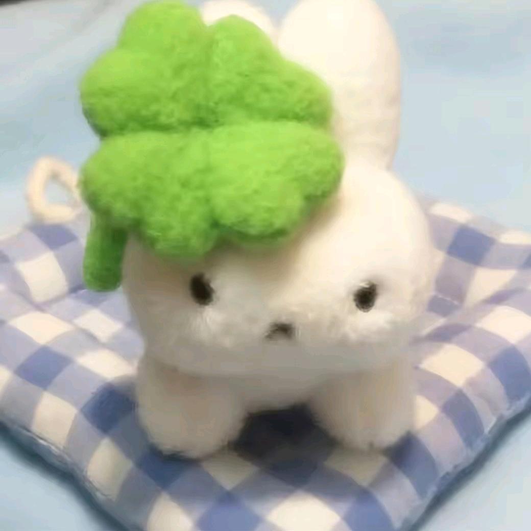 薄荷Mint🌿