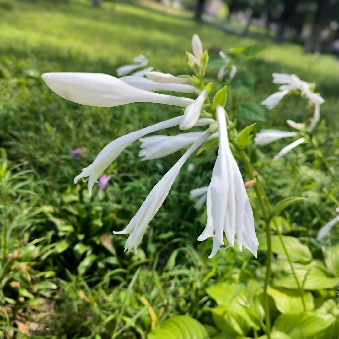 🌈学无止境蒋三岁🌈