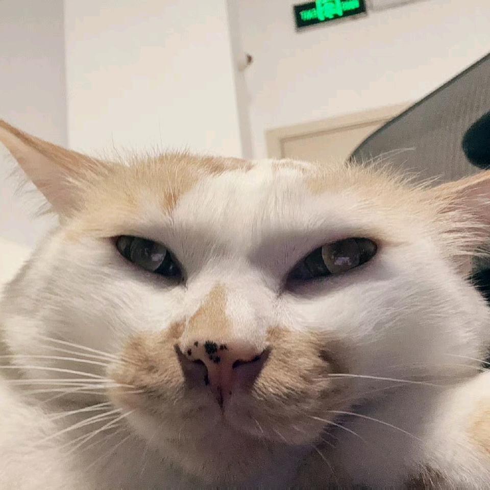 悲催打灰人