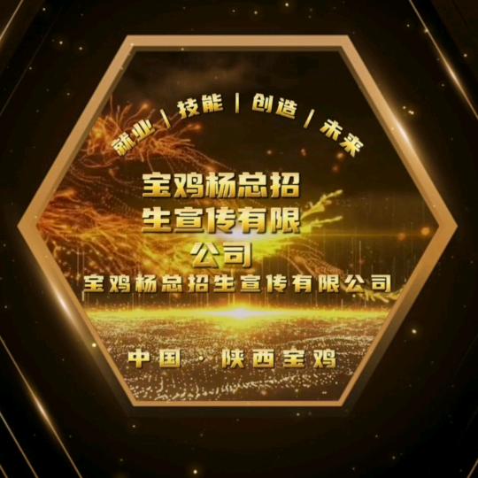 宝鸡杨总招生宣传有限公司