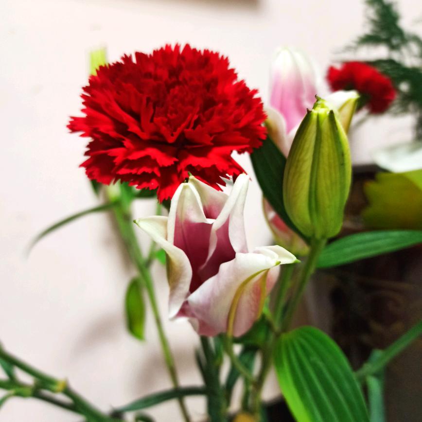 梦幻🦋ꦿ໊余生᭄🕊随心᭄ꦿᩚ٭