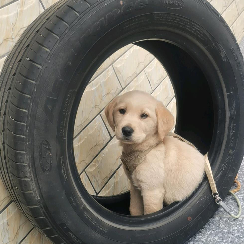 小彬^O^