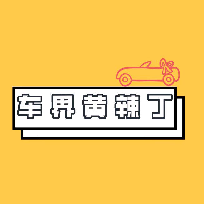 车界黄辣丁