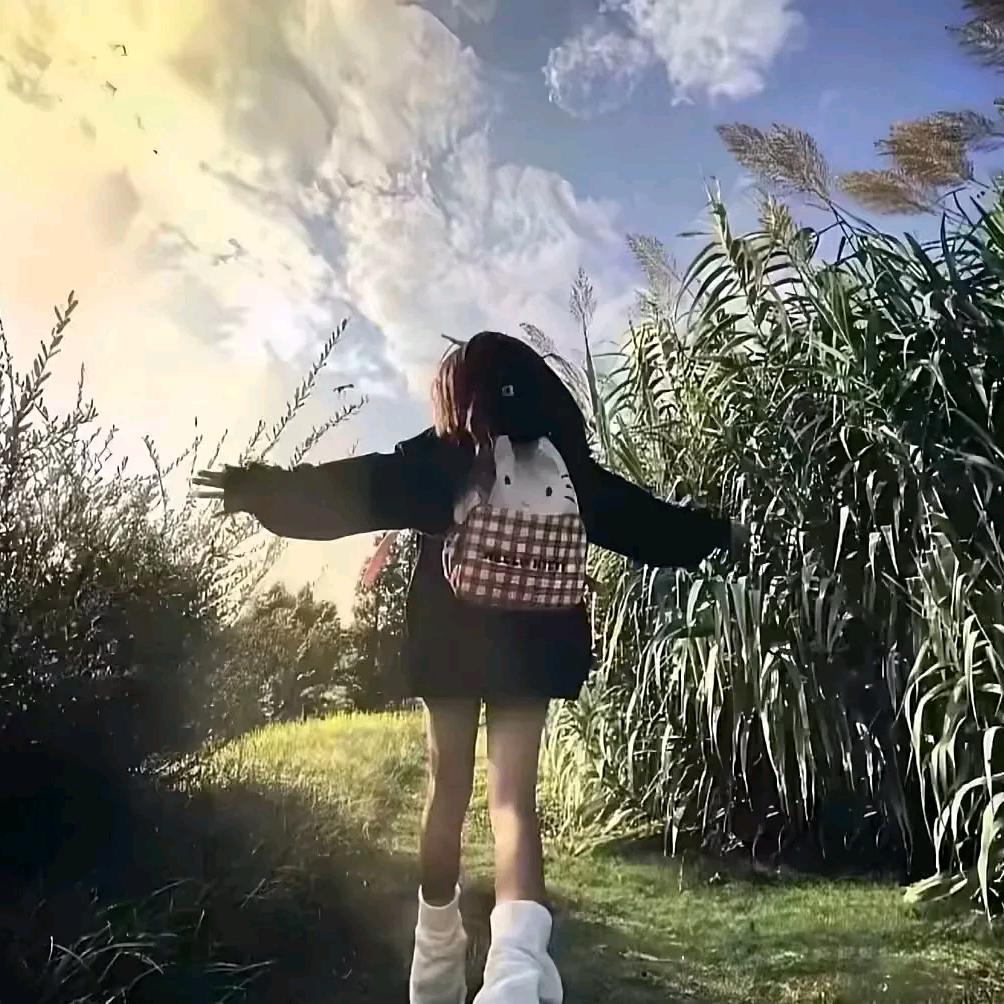 火箭🚀
