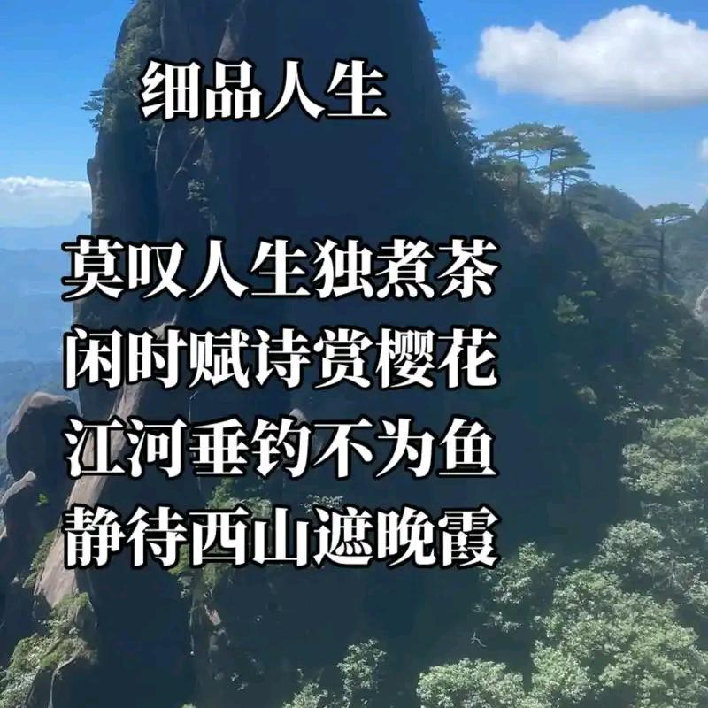 细品人生