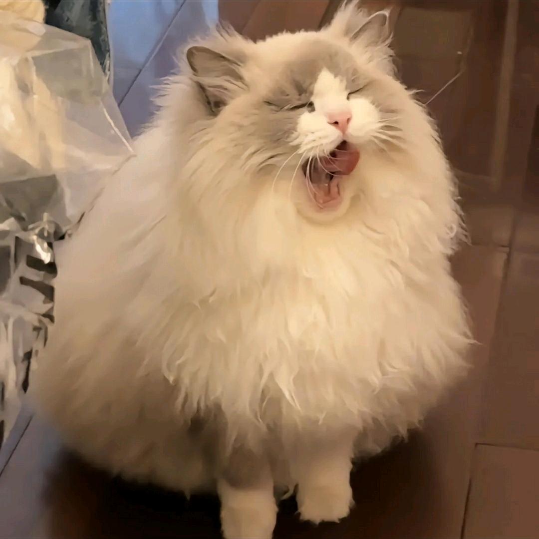 M头像