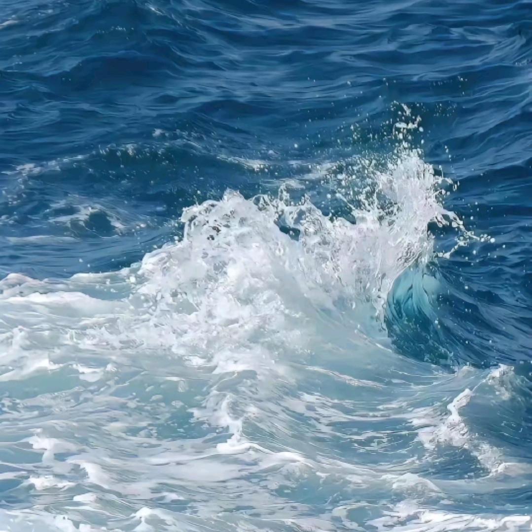 风生水起🇨🇳