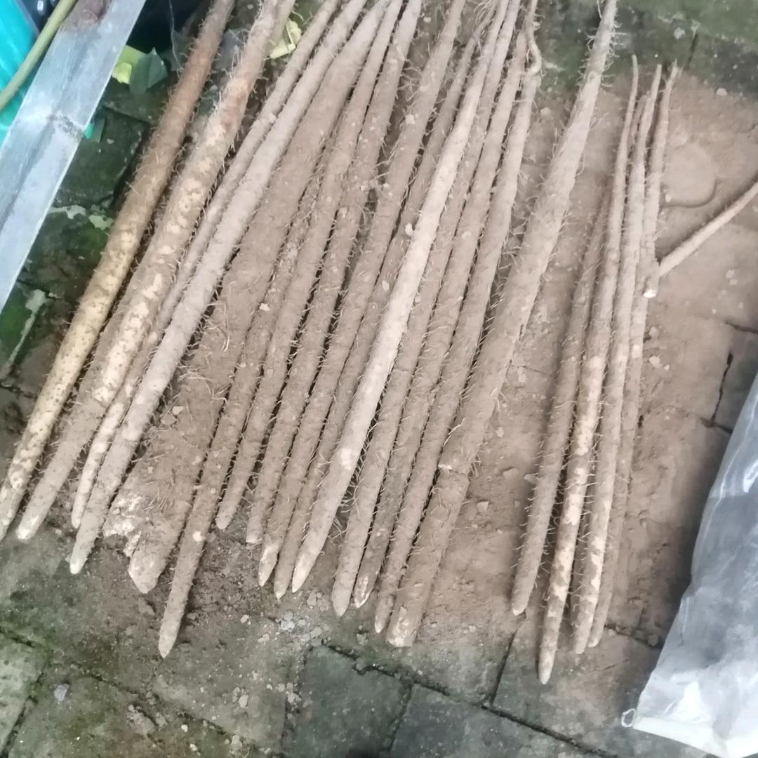 用户2758565679818