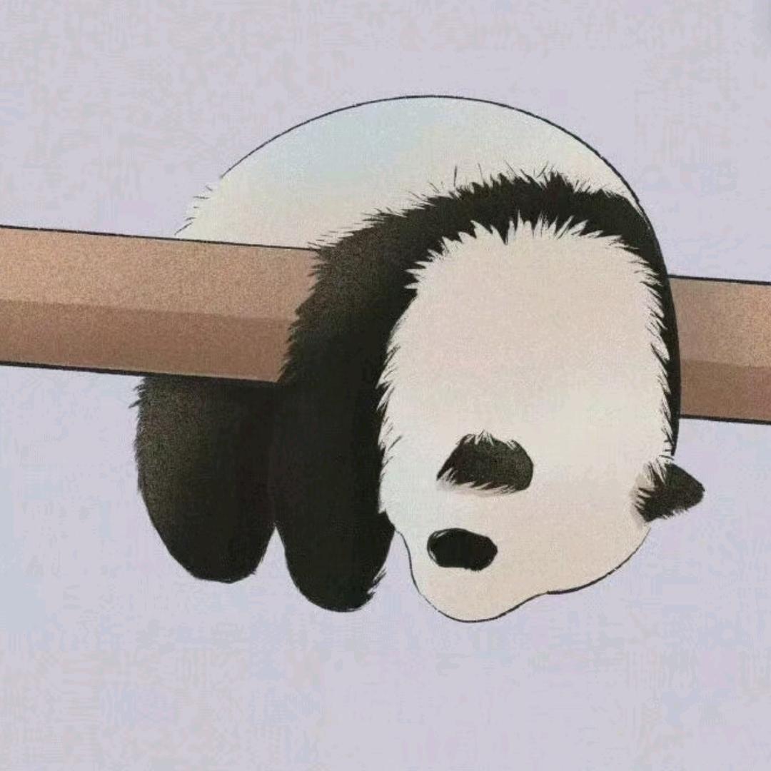 一只小潘达