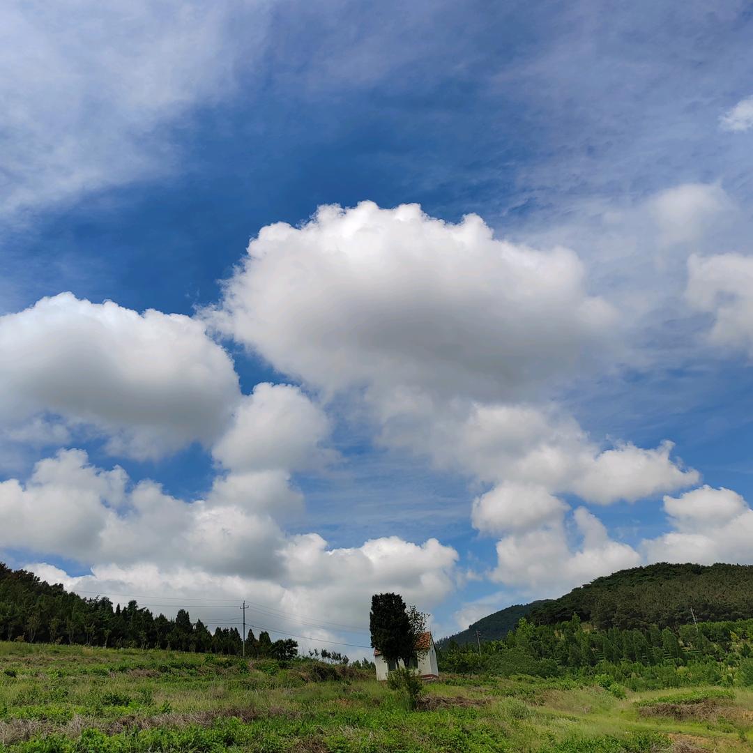 A︿(☆_☆)苏唯语