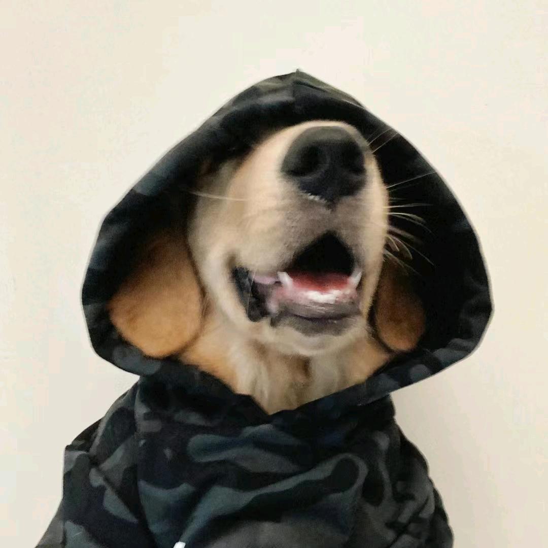 殷未