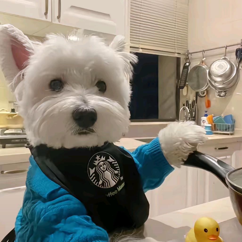 「火焱」এ欻🏃²¹.₀₉₇₅