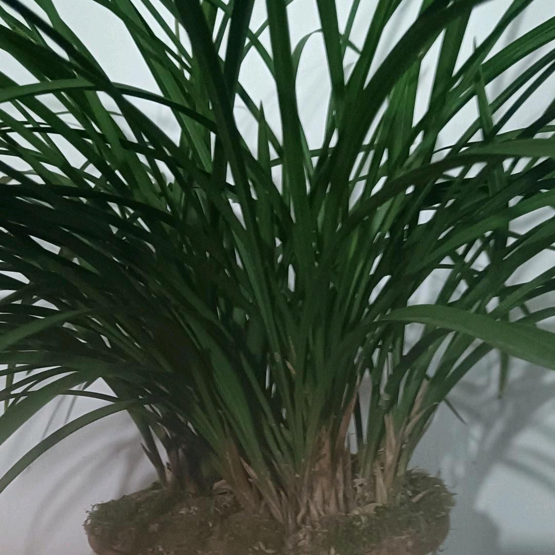 芊芊～～好物分享