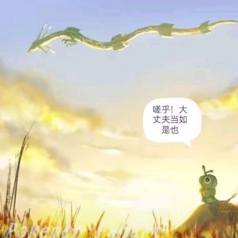 正义的伙伴
