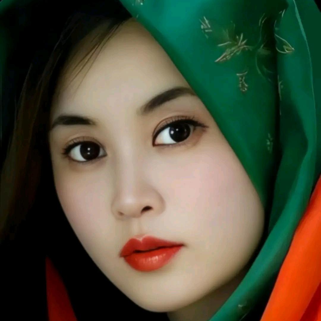 专业收小麦玉米