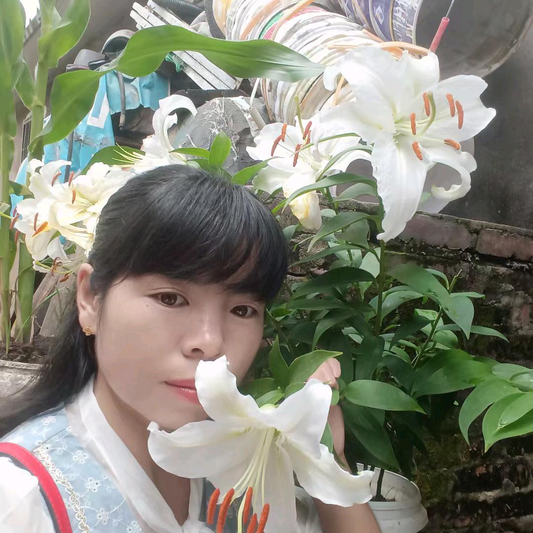 看透一切