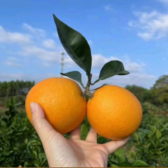 我爱我的家，我爱我的孩子