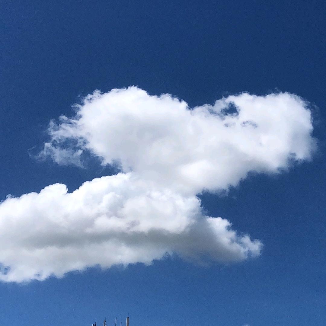 外贸有说法