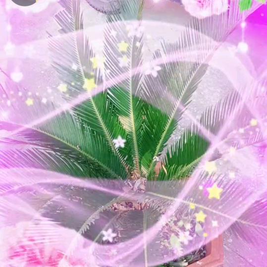欣玲