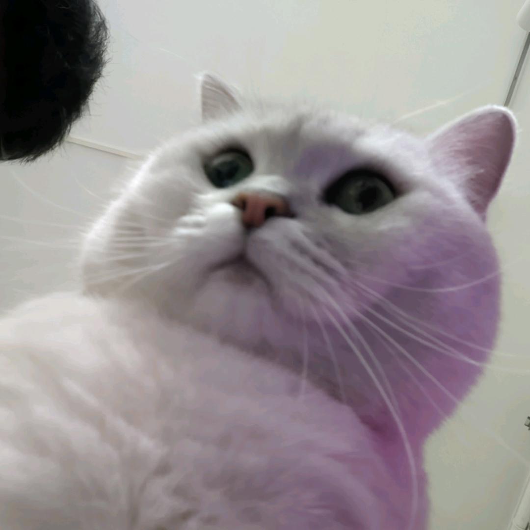 219
