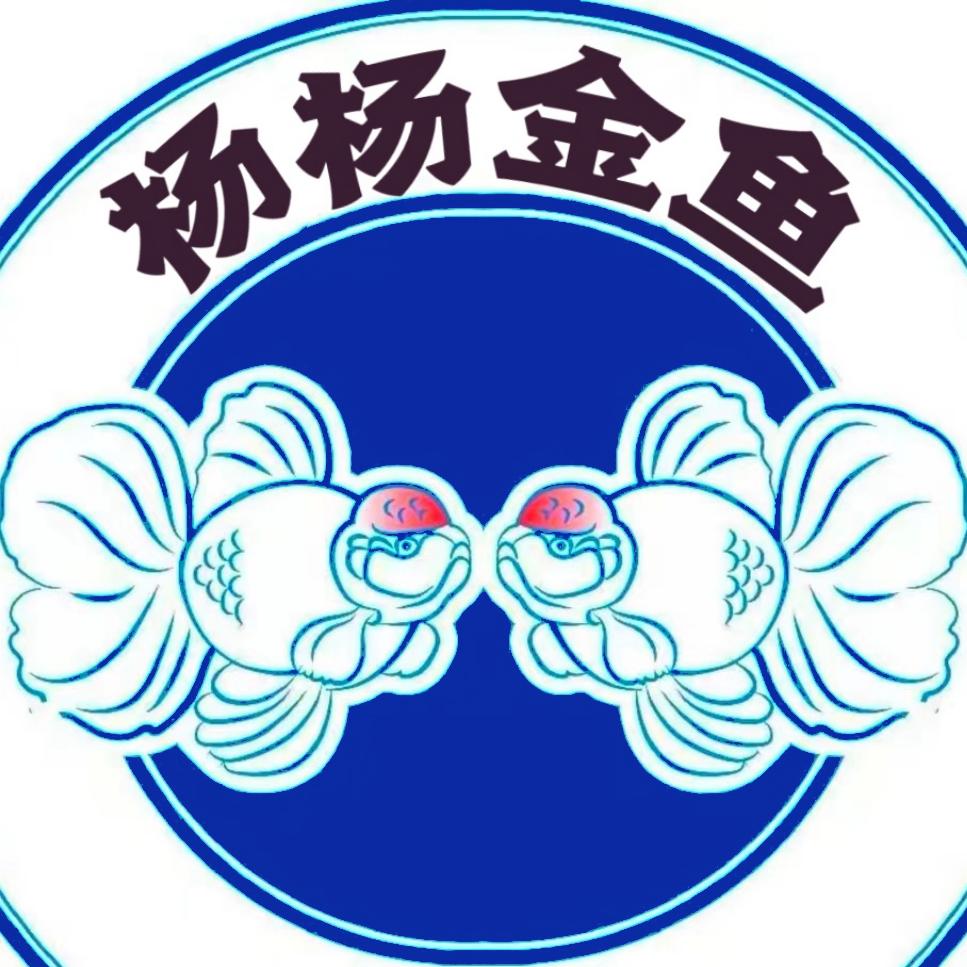 杨杨金鱼