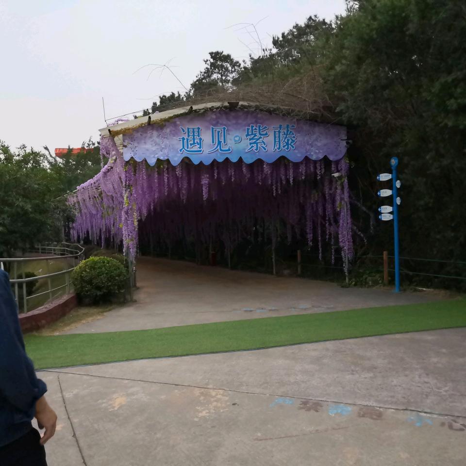 电匠