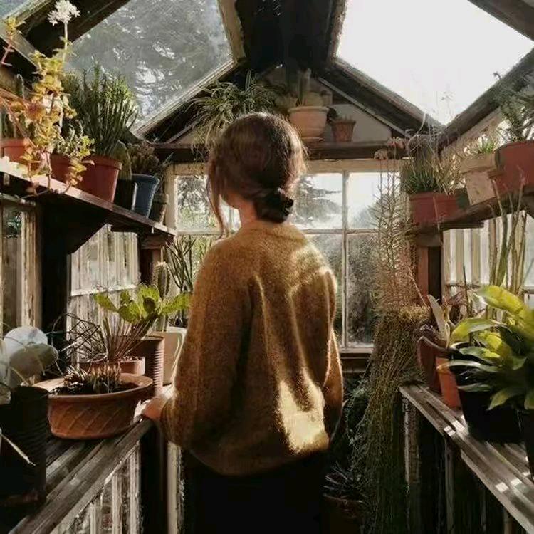 木昜～杨