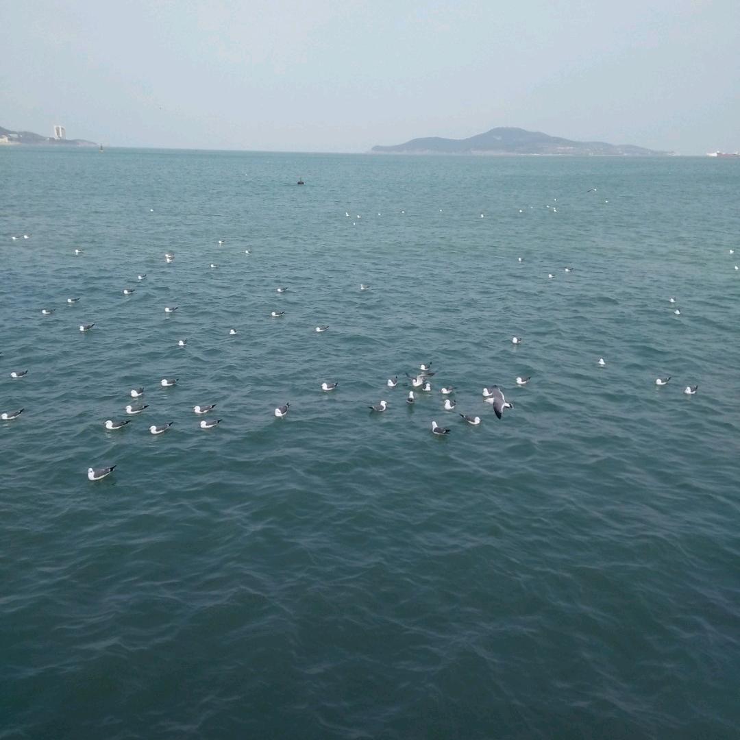 女中豪姐