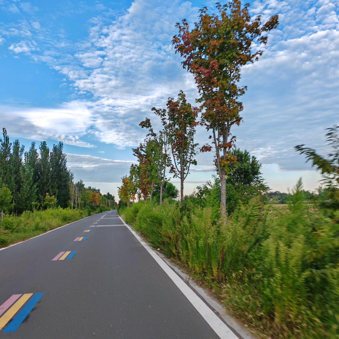 满山滴猴子俺腚最红