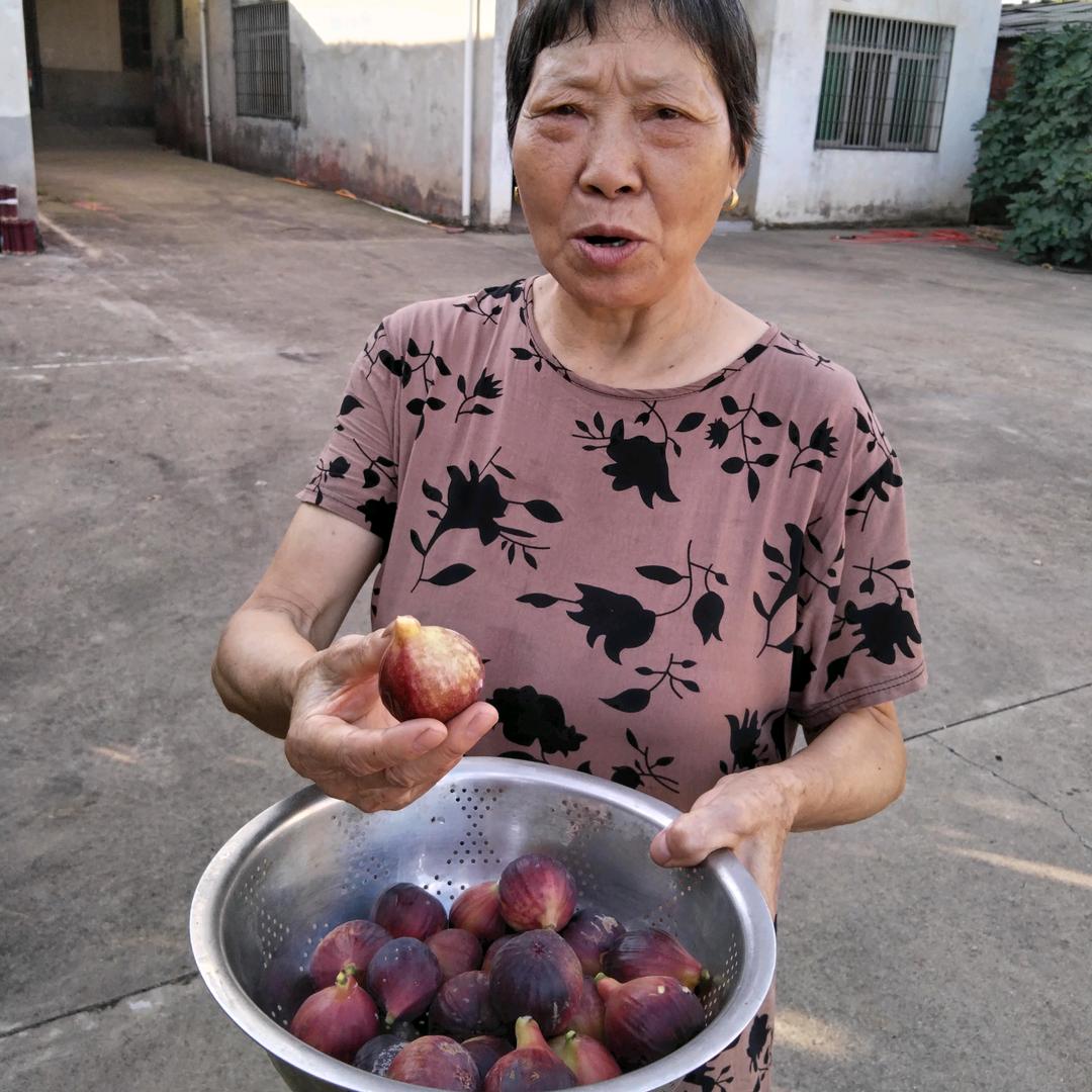 谭阿姨爱跳舞