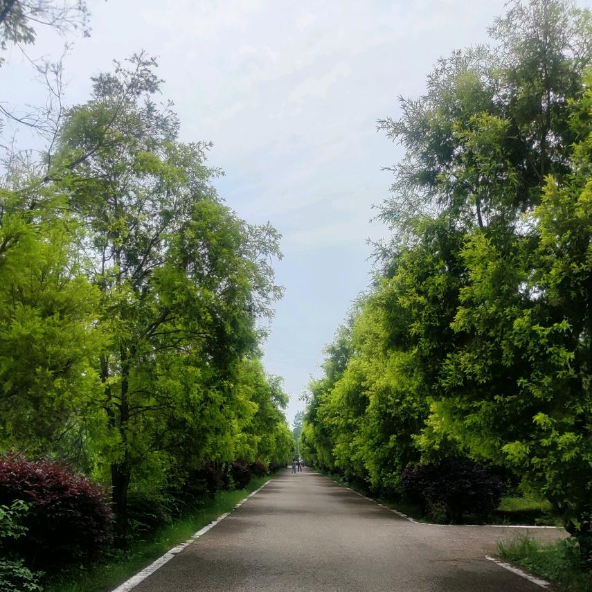 Luozhenfeng