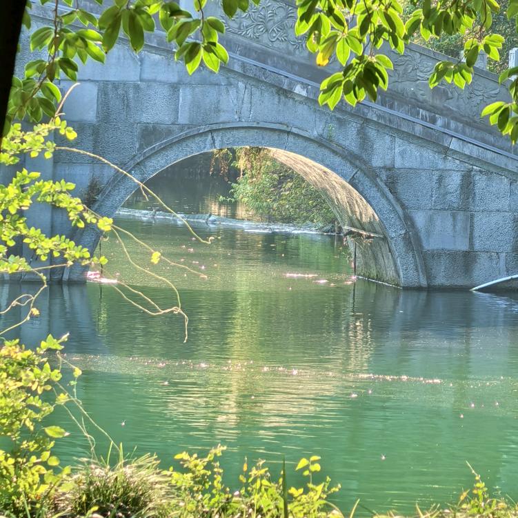 道心妙青居