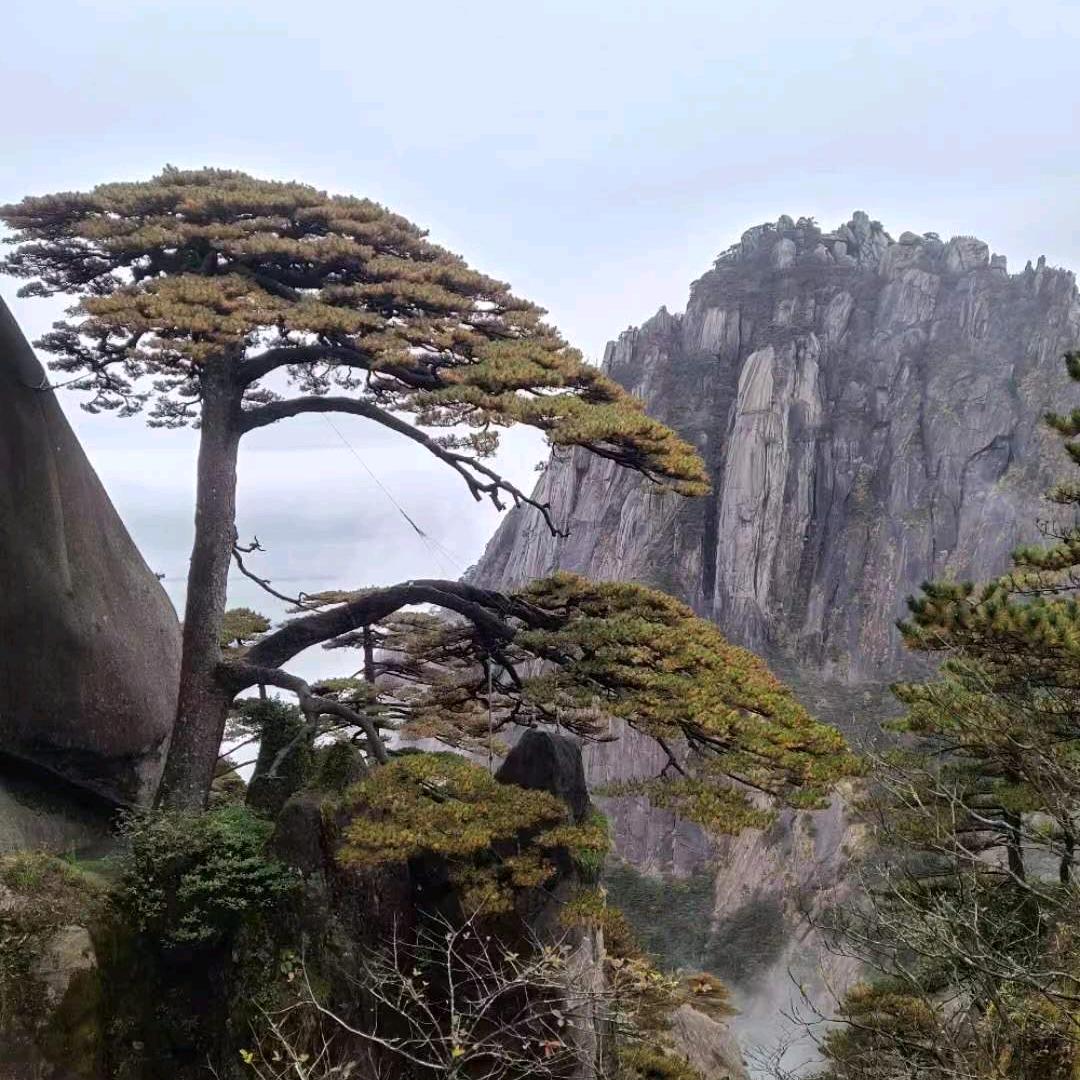 PP，PE，塑料回收