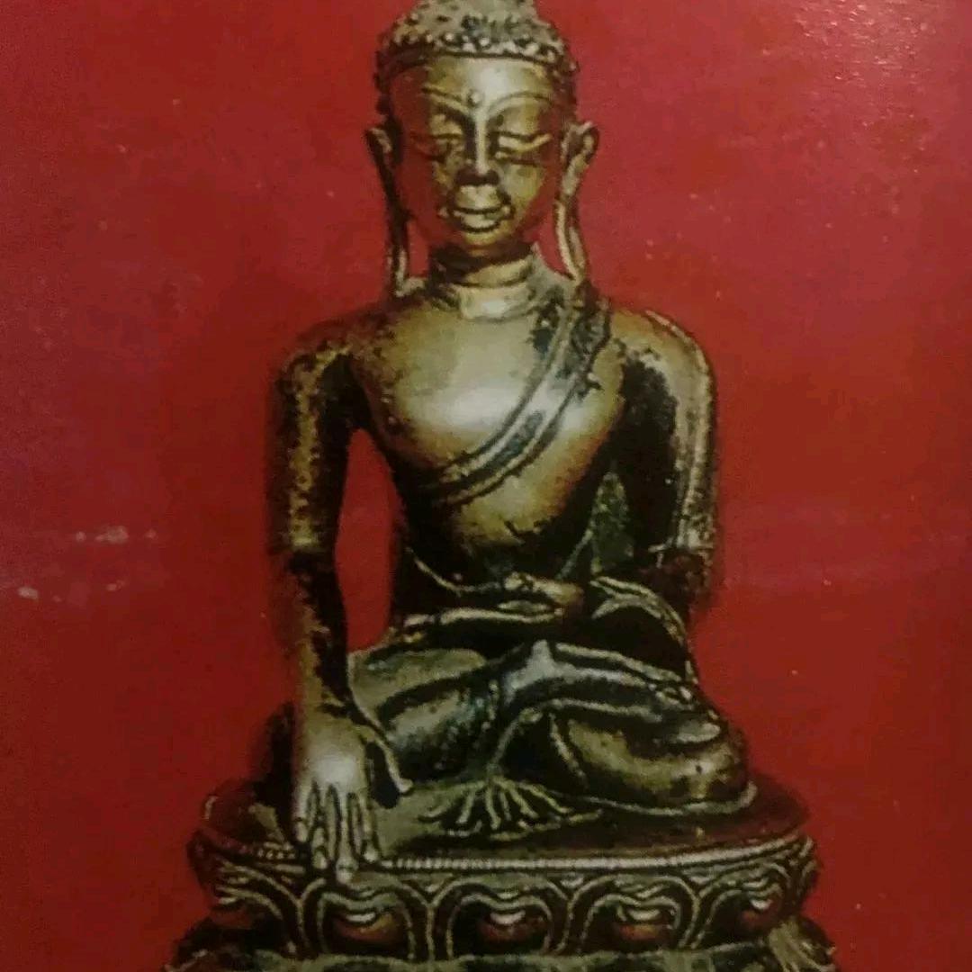 我们家的男子汉