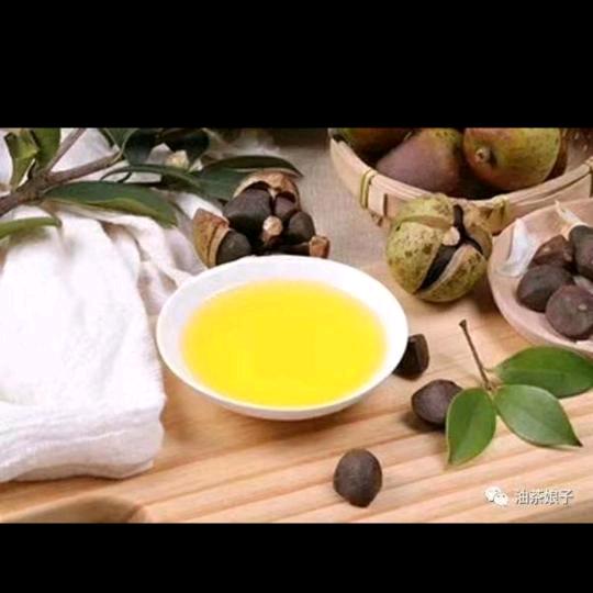 农家压榨山茶油