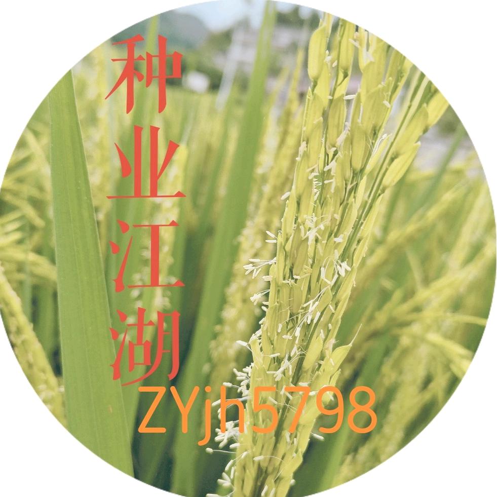 种业江湖