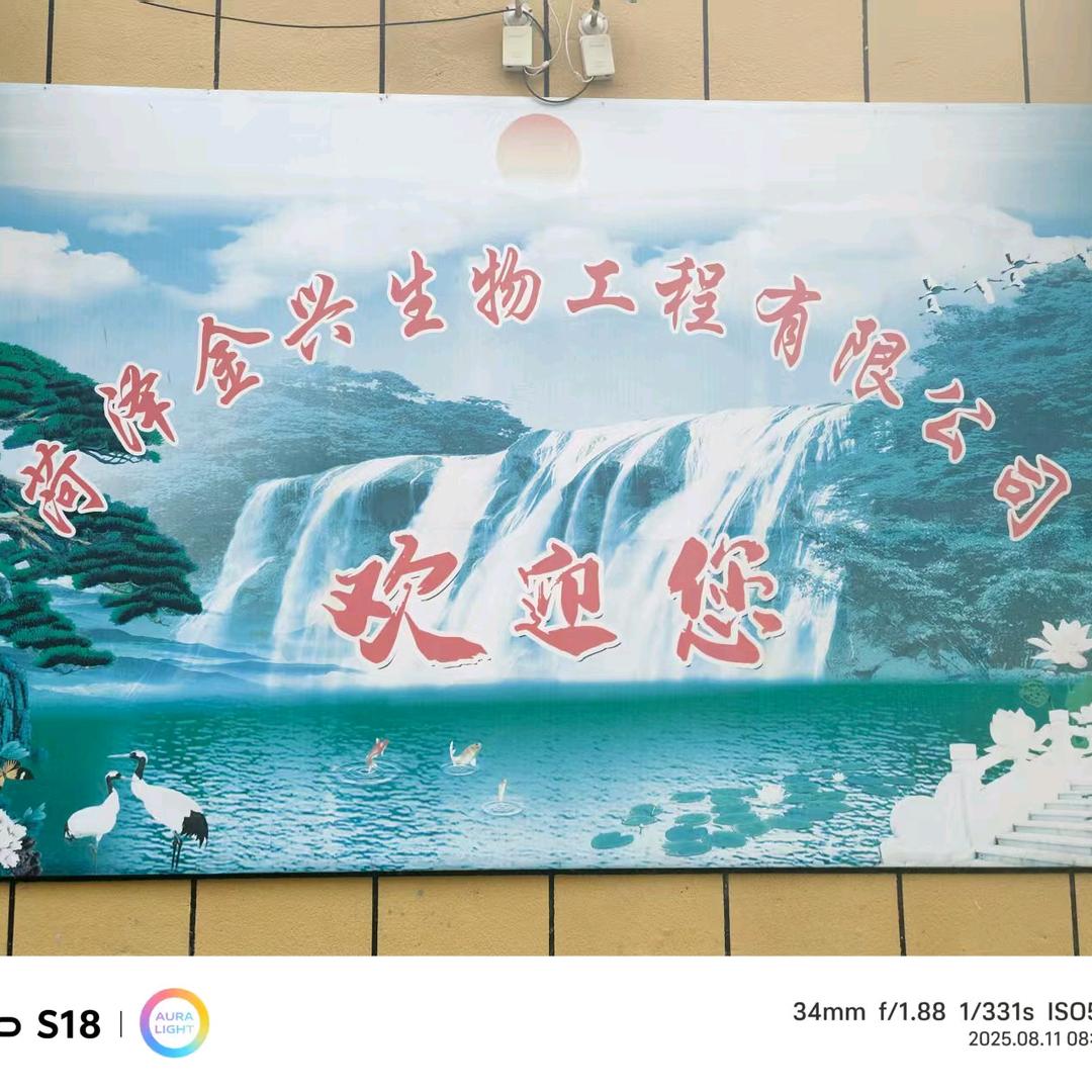 金兴公司