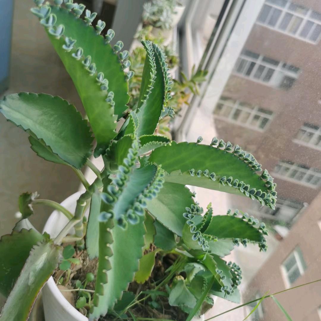 陪伴是最长情的告白%