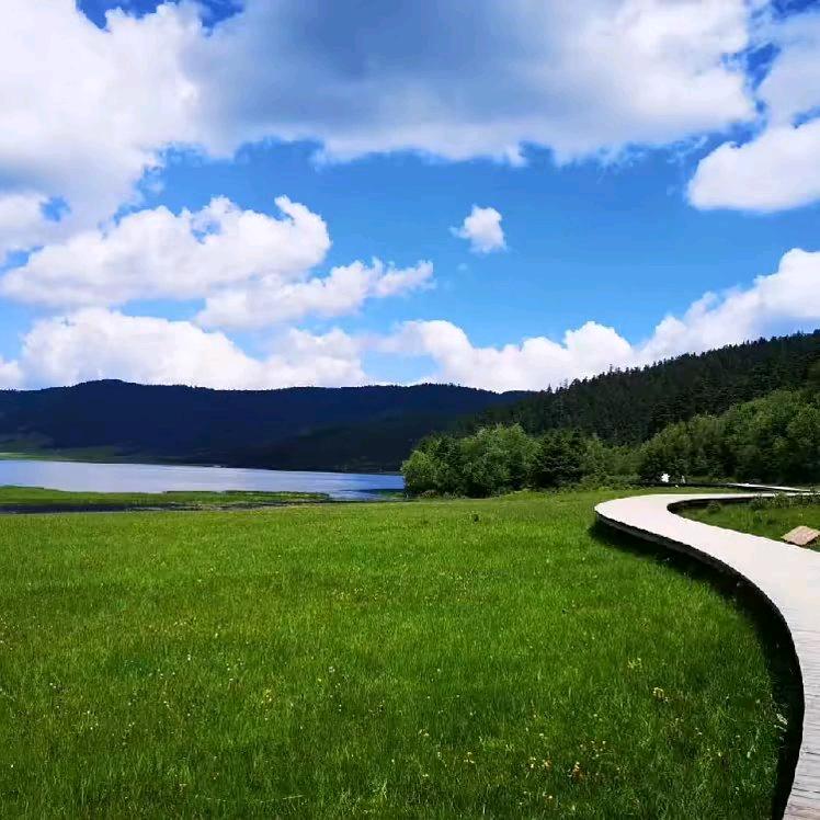 ？？？？？？？