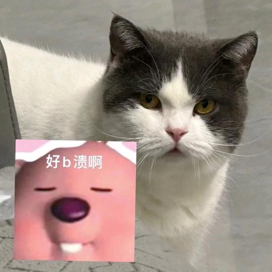 小街早点