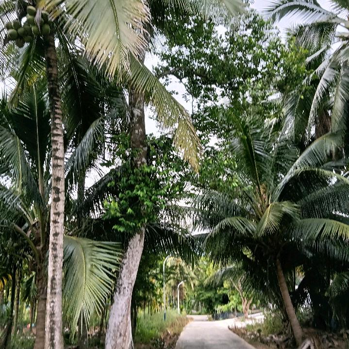 用户5262804429019